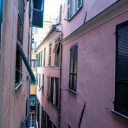 Zenamore Genoa