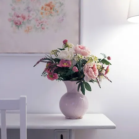 Zenamore Apartment Genoa