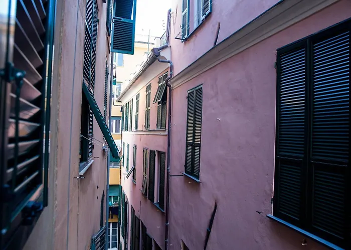 Zenamore Genua